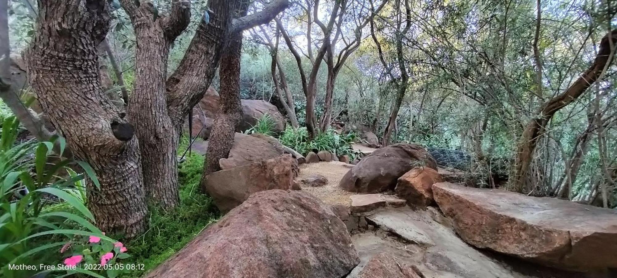 مبيت وإفطار بلومفونتين Mountain Gem المظهر الخارجي الصورة